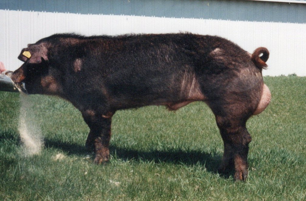 3161 CBSI6 Right Choice 206-4